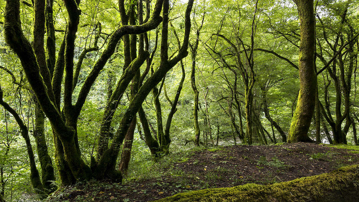 � ����������� ���� ����� ������� ������� �� PhotoGeek.ru #������ ��� �������