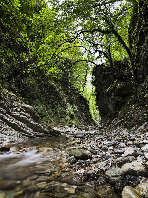 �������� ������ ����� ������� ������� �� PhotoGeek.ru #������ ��� �������