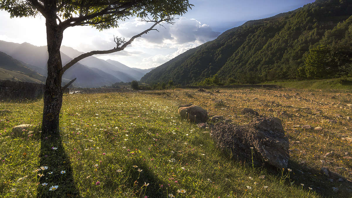 *** ����� ������� ������� �� PhotoGeek.ru #������ ��� �������