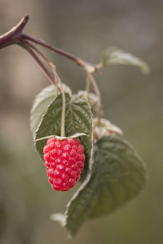 *** ����� ������� ������� �� PhotoGeek.ru #����� ��������������