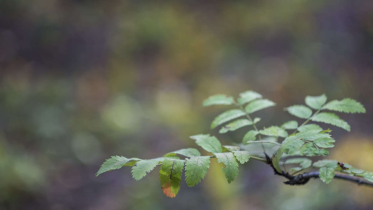 *** ����� ������� ������� �� PhotoGeek.ru #����� ��������������