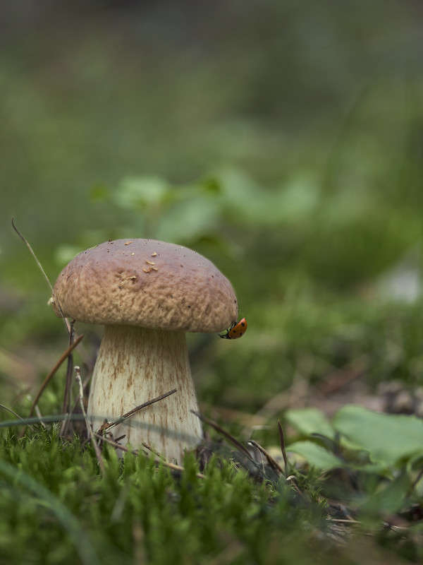 �� ����� ����� ������� ������� �� PhotoGeek.ru #����� ��������������