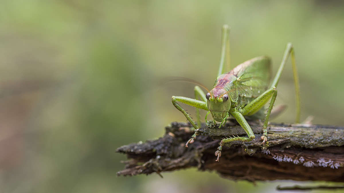 ������ ����� ������� ������� �� PhotoGeek.ru #����� #���������