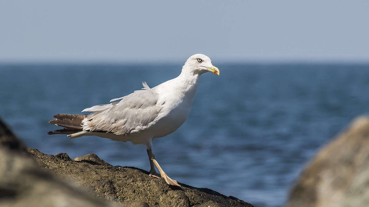 *** ����� ������� ������� �� PhotoGeek.ru #�������� ��� #����� ��� ��� ���������