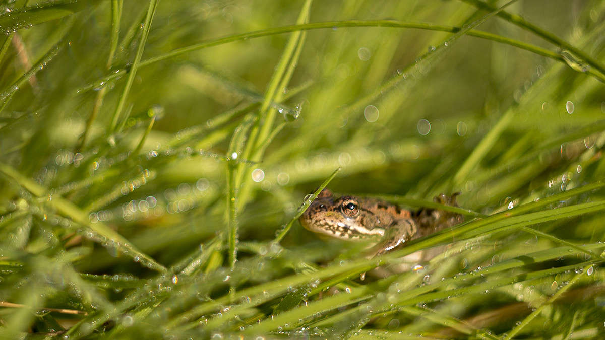 *** ����� ������� ������� �� PhotoGeek.ru #�������� ���