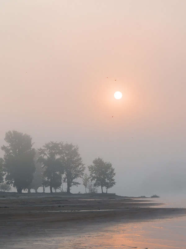 �������� ������ ����� ������� ������� �� PhotoGeek.ru #������ ��� �������