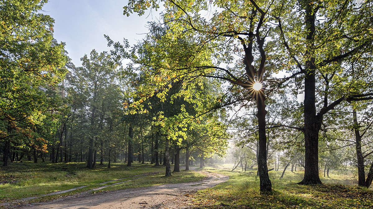 *** ����� ������� ������� �� PhotoGeek.ru #������ ��� �������