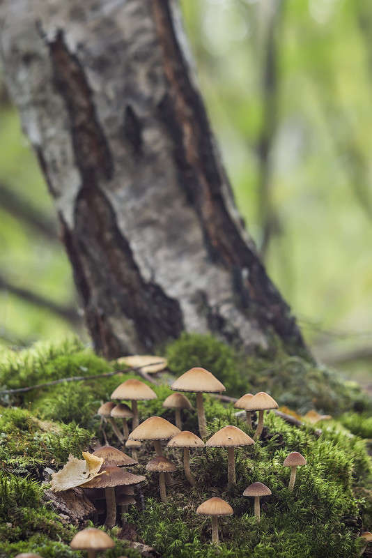 ������� ����� ������� ������� �� PhotoGeek.ru #����� ��������������