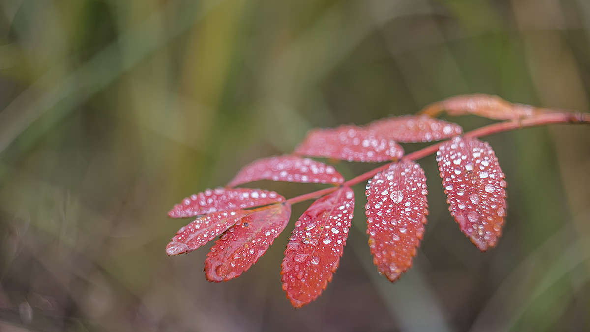 *** ����� ������� ������� �� PhotoGeek.ru #����� ��������������