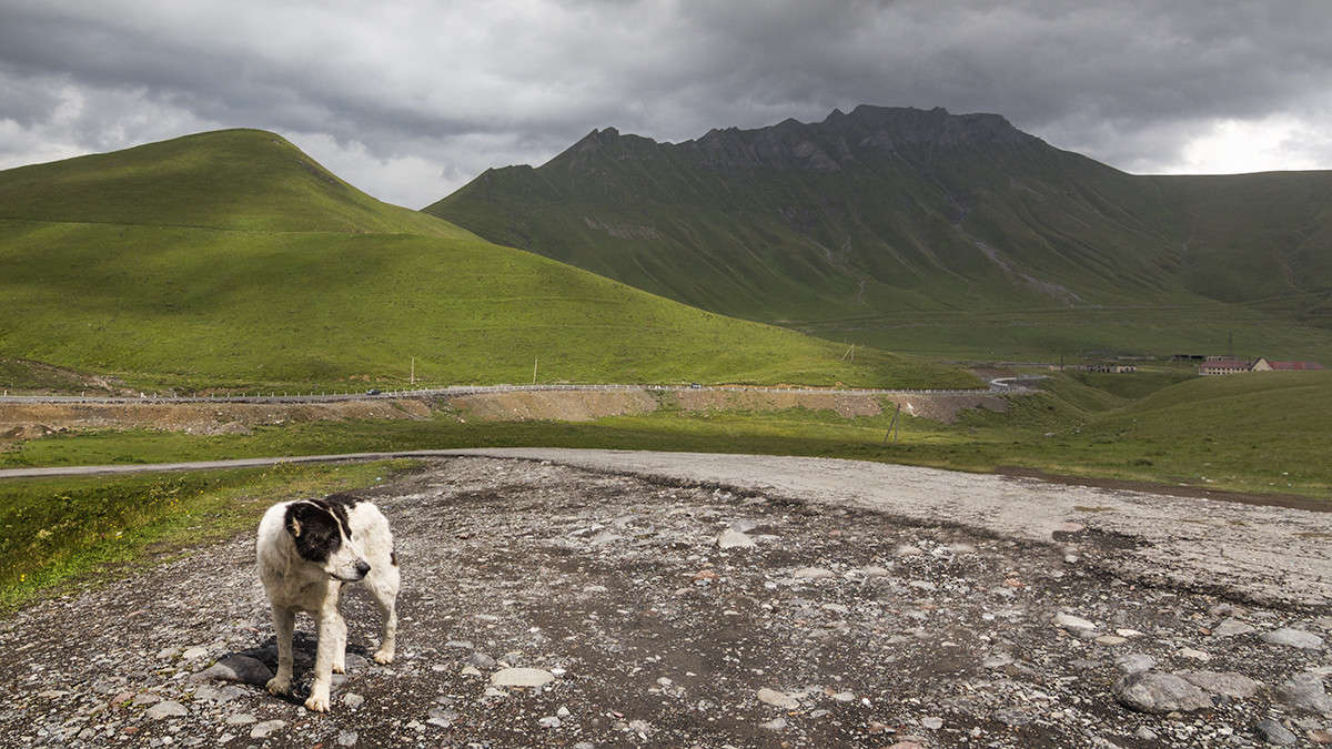 *** ����� ������� ������� �� PhotoGeek.ru #������ ��� �������