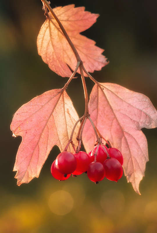 *** ����� ������� ������� �� PhotoGeek.ru #����� ��������������