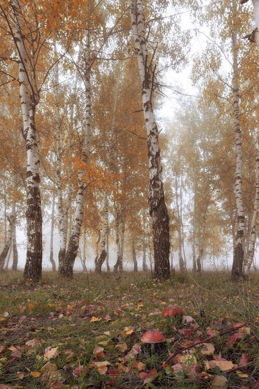 �������� ����� ������� ������� �� PhotoGeek.ru #������ ��� ������� #����� ��������������