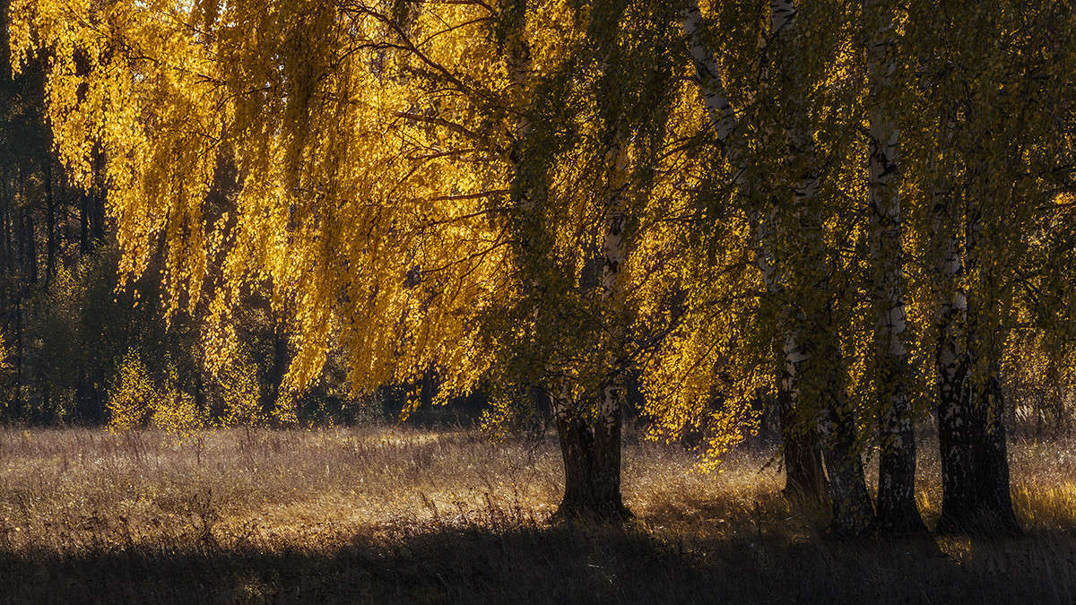 � ������� ����� ����� ������� ������� �� PhotoGeek.ru #������ ��� �������