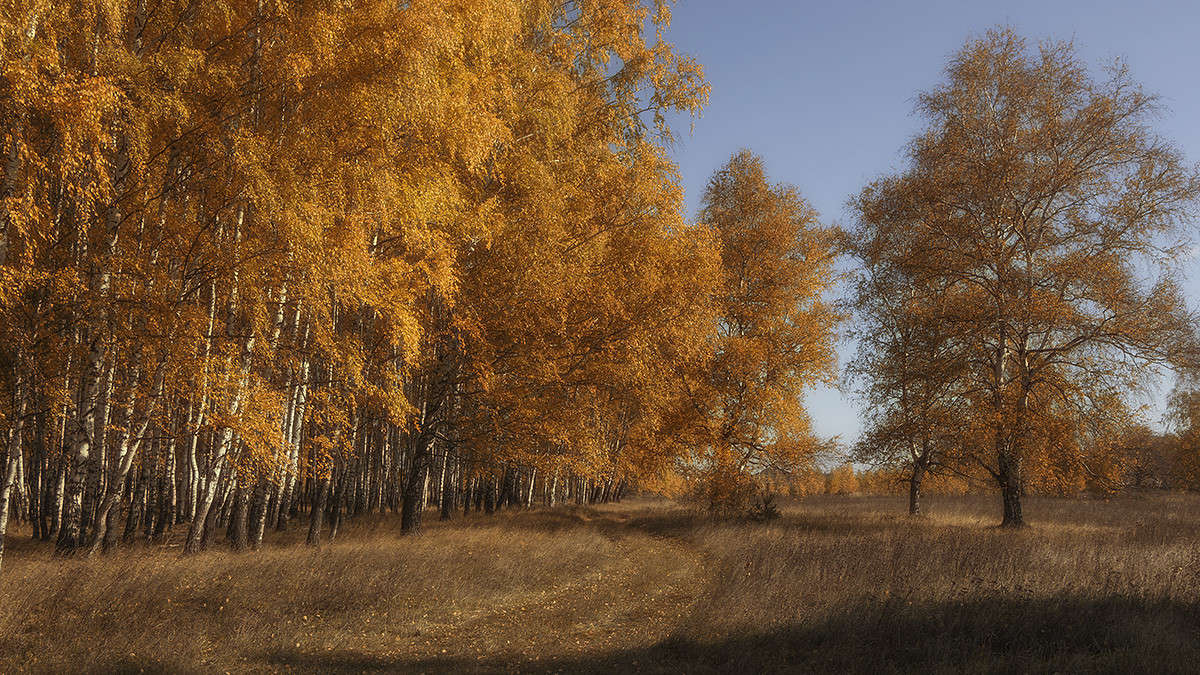 *** ����� ������� ������� �� PhotoGeek.ru #������ ��� �������