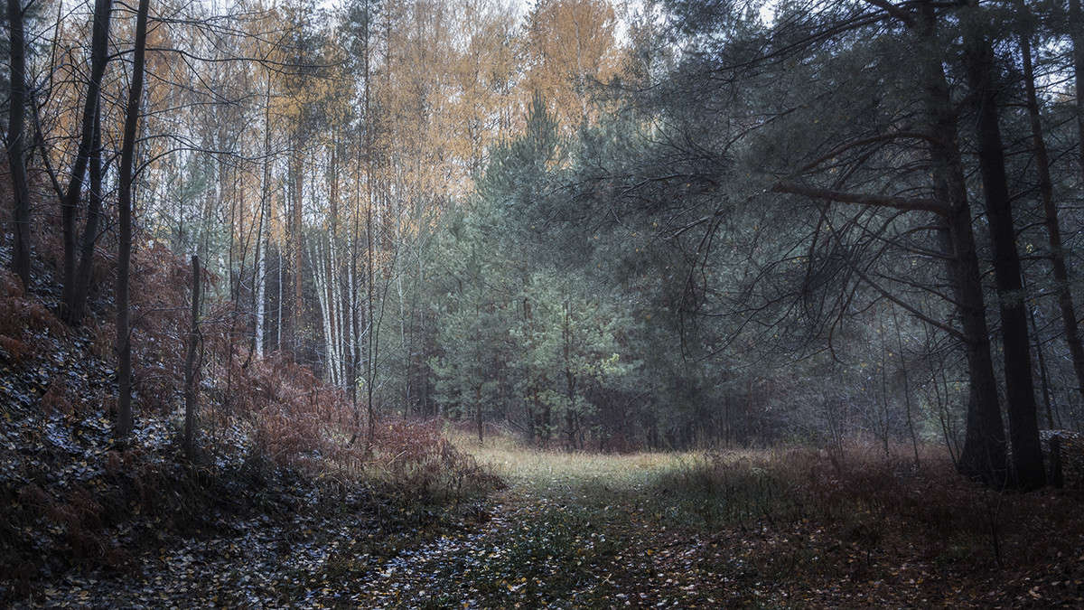 *** ����� ������� ������� �� PhotoGeek.ru #������ ��� �������