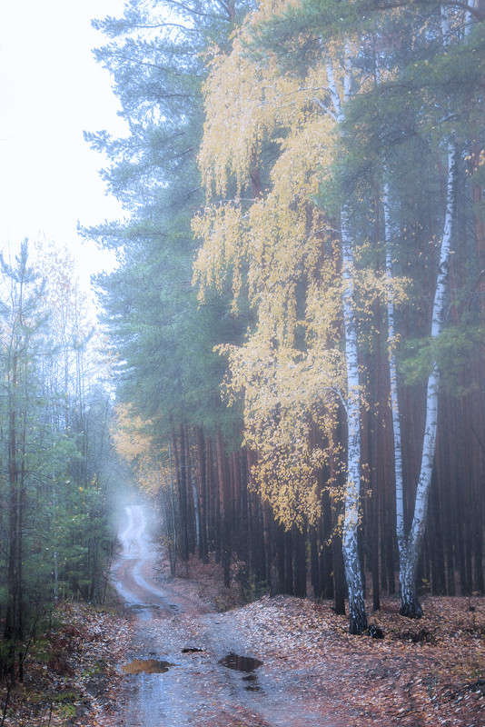 �� ������� ��������� ���� ����� ������� ������� �� PhotoGeek.ru #������ ��� �������