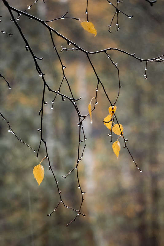 ��������� �������� ����� ������� ������� �� PhotoGeek.ru #����� ��������������