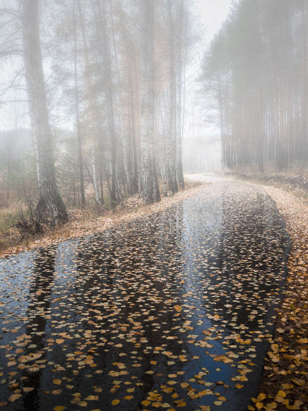 ����������� ���� ����� ������� ������� �� PhotoGeek.ru #������ ��� ������� #����� ��������������