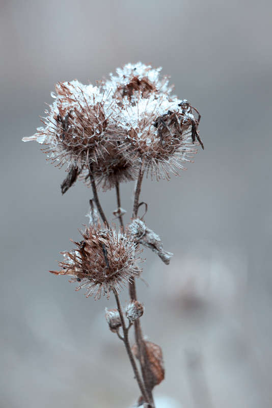 �������� ����� ������� ������� �� PhotoGeek.ru #����� #����� ��������������