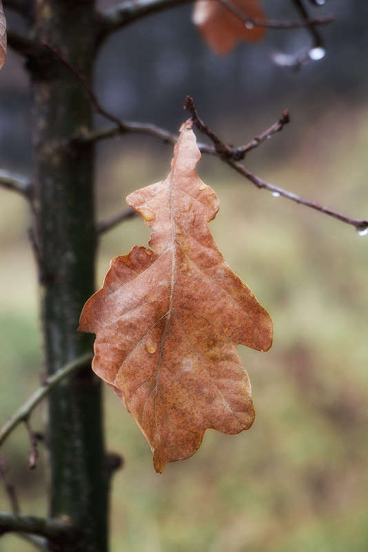 �������� ����� ������� ������� �� PhotoGeek.ru #����� ��������������