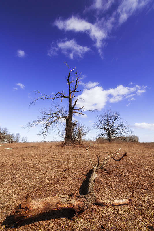 ������ ����� ������� ������� �� PhotoGeek.ru #������ ��� �������