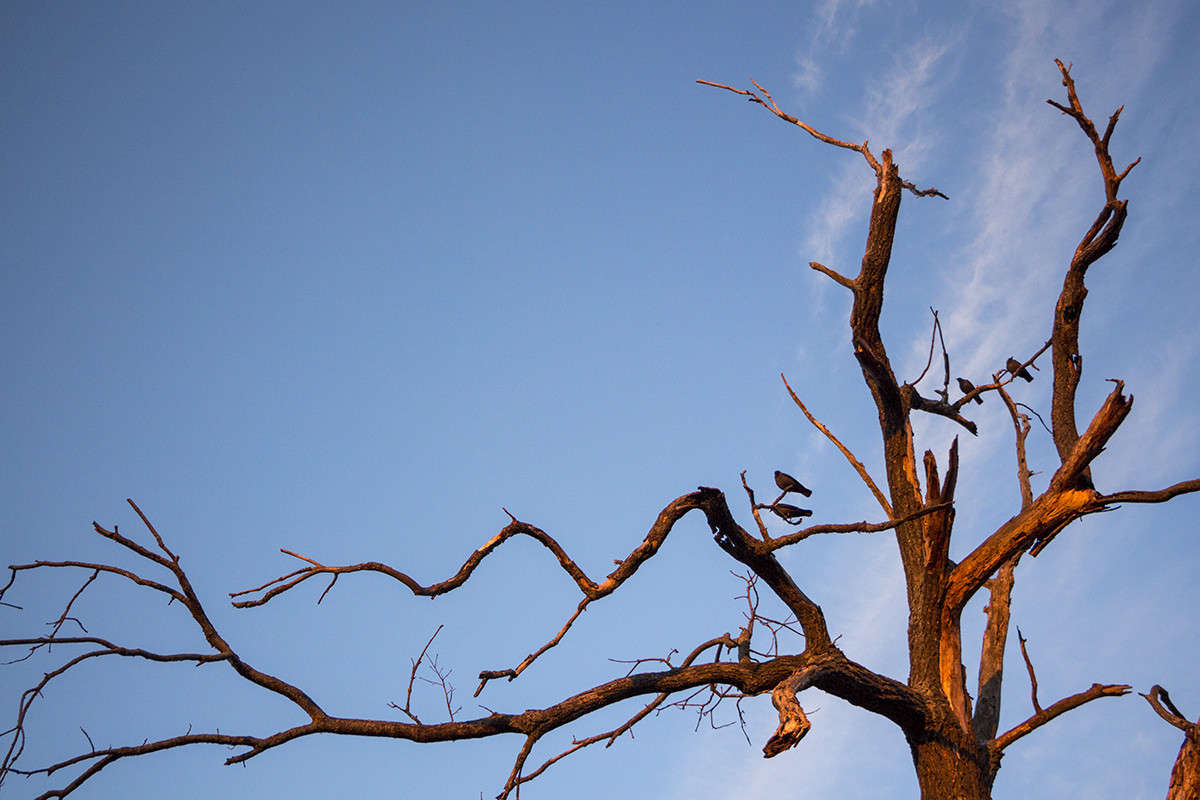 *** ����� ������� ������� �� PhotoGeek.ru #������ ��� �������