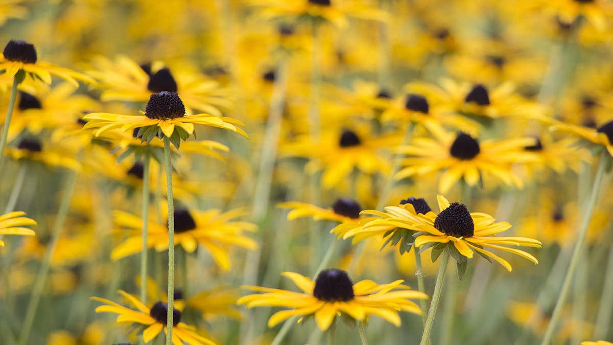 ... ����� ������� ������� �� PhotoGeek.ru #����� #����� ��������������