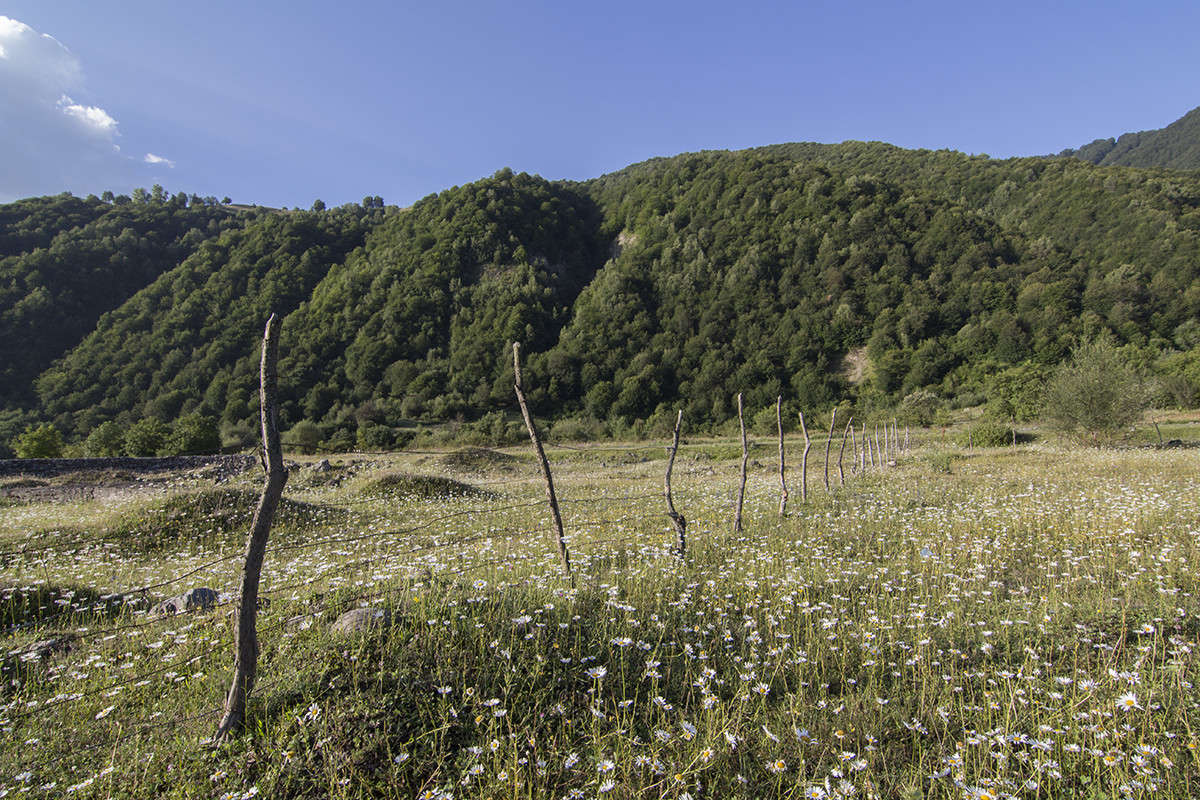 ���������� ������ ����� ������� ������� �� PhotoGeek.ru #������ ��� �������