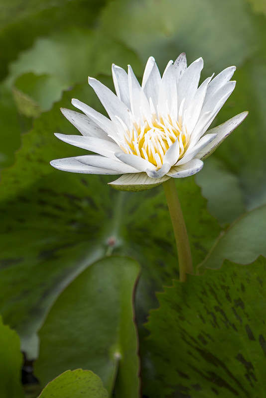 *** ����� ������� ������� �� PhotoGeek.ru #����� ��������������