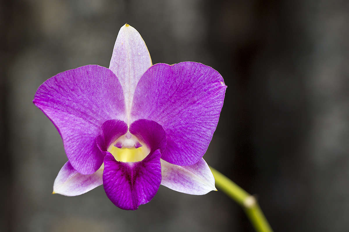 ������� ����� ������� ������� �� PhotoGeek.ru #����� ��������������