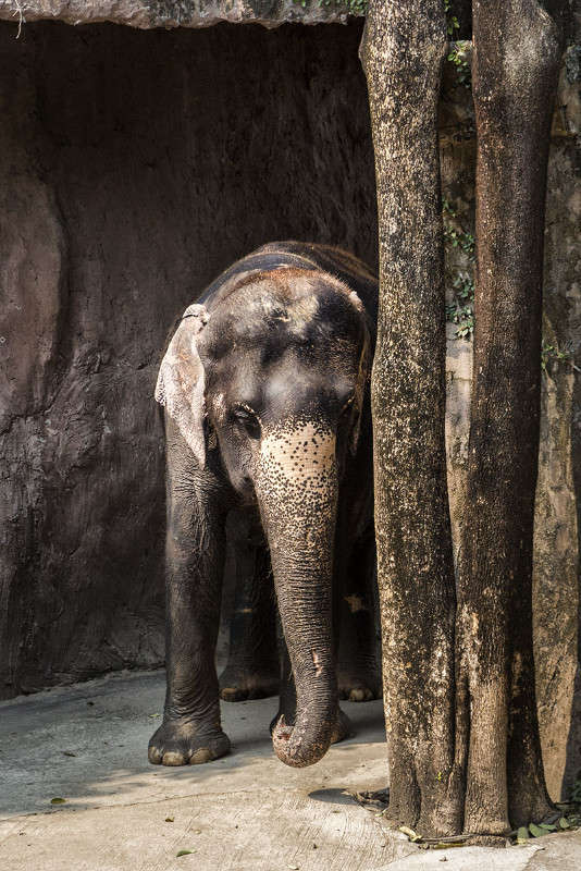 ��������� ������ ����� ������� ������� �� PhotoGeek.ru #��������