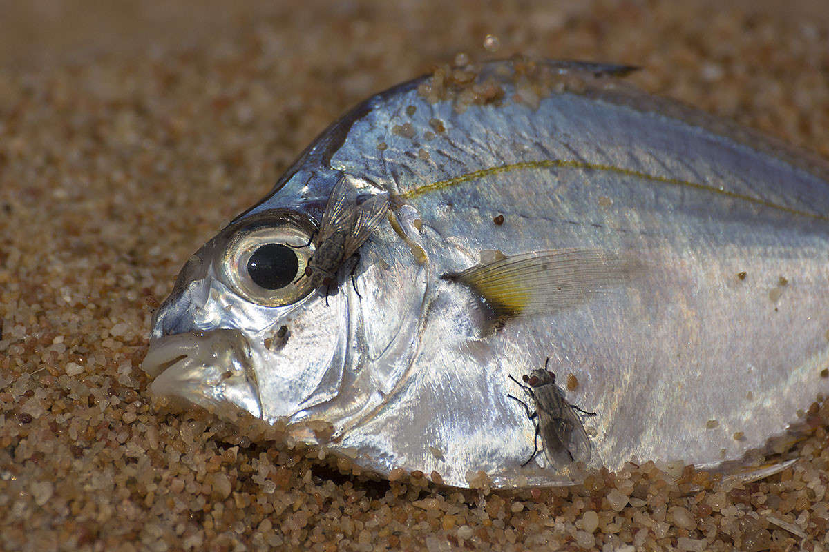 ������ ����� � ������ ����� ������� ������� �� PhotoGeek.ru #�����