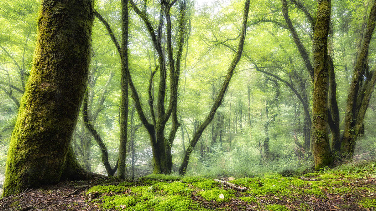 ��� ����� ������� ������� �� PhotoGeek.ru #������ ��� �������