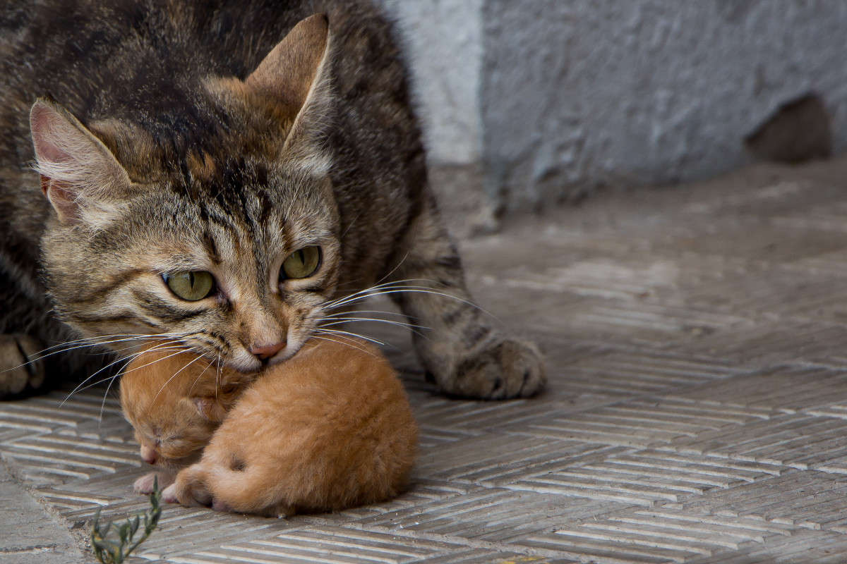 ���� ����� ������� ������� �� PhotoGeek.ru #�������� ���