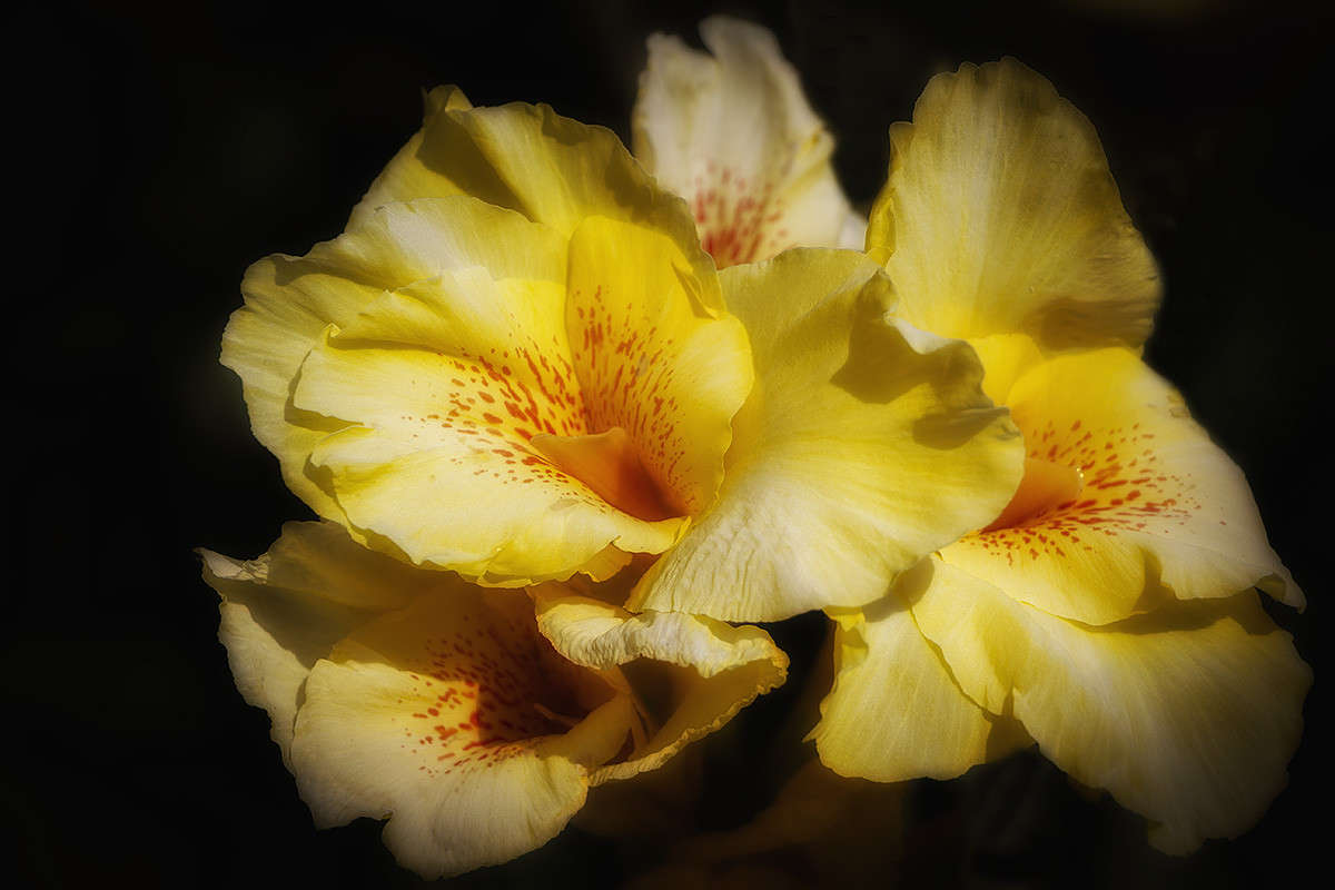 *** ����� ������� ������� �� PhotoGeek.ru #����� ��������������