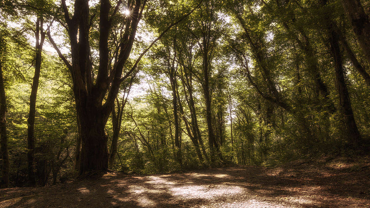 �������� ����� ������� ������� �� PhotoGeek.ru #������ ��� �������