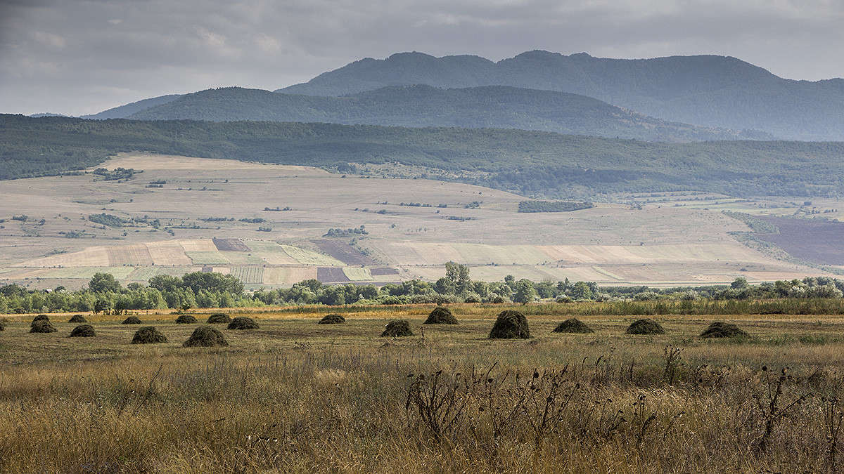 ����, ����, ���� ����� ������� ������� �� PhotoGeek.ru #������ ��� �������