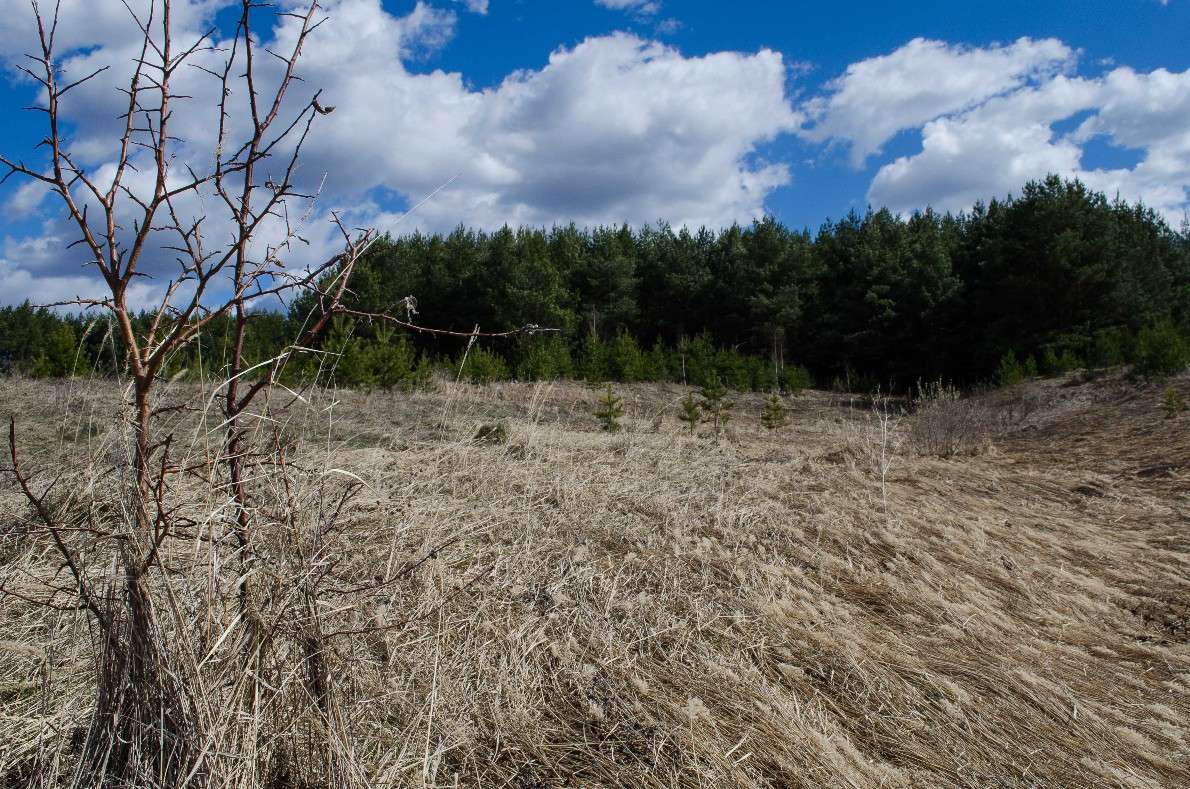 ������� ����� Sergey Kakadzhanov �� PhotoGeek.ru #������ ��� �������