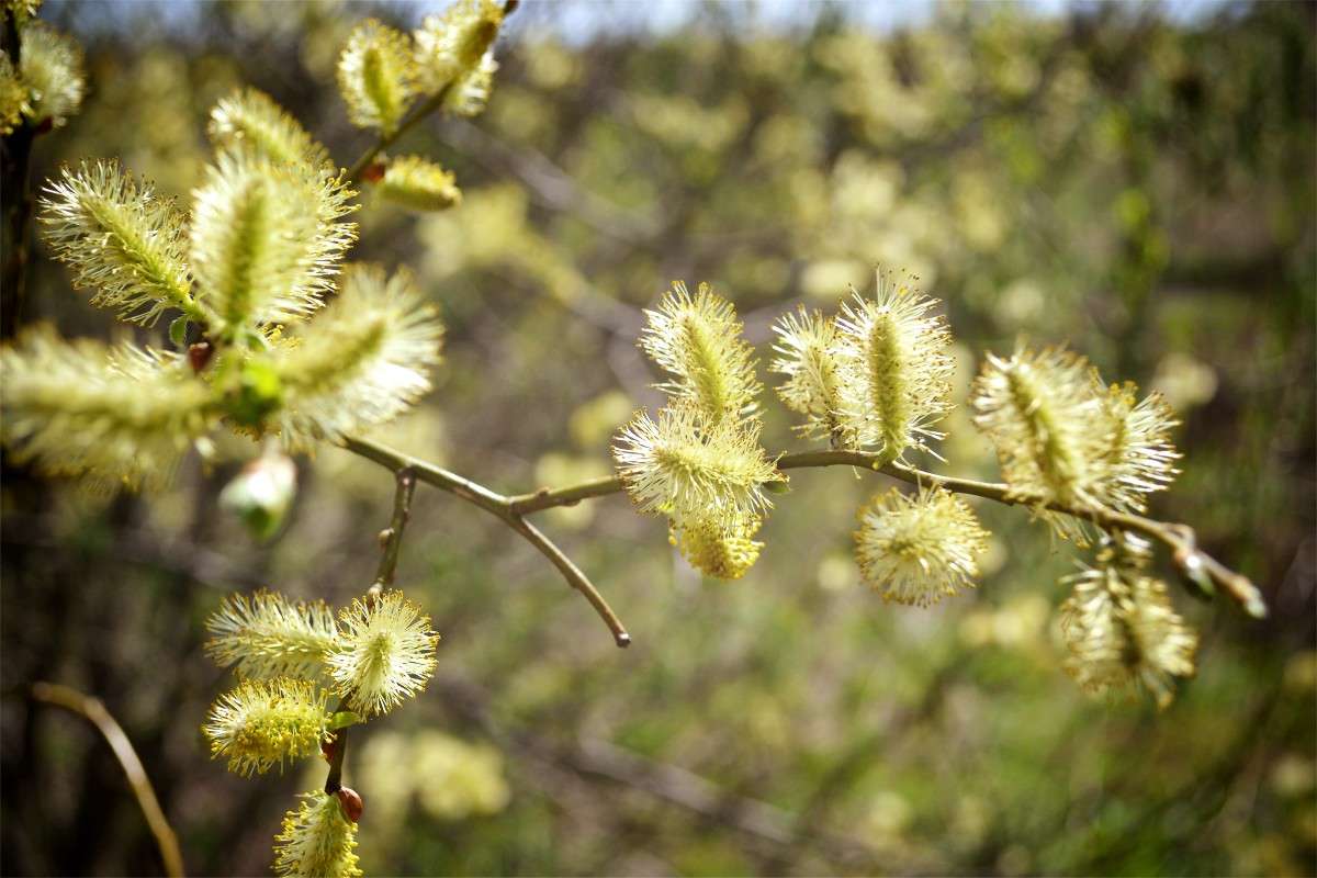 ... ����� �������� ��� �� PhotoGeek.ru #������ ��� ������� #����� ��������������