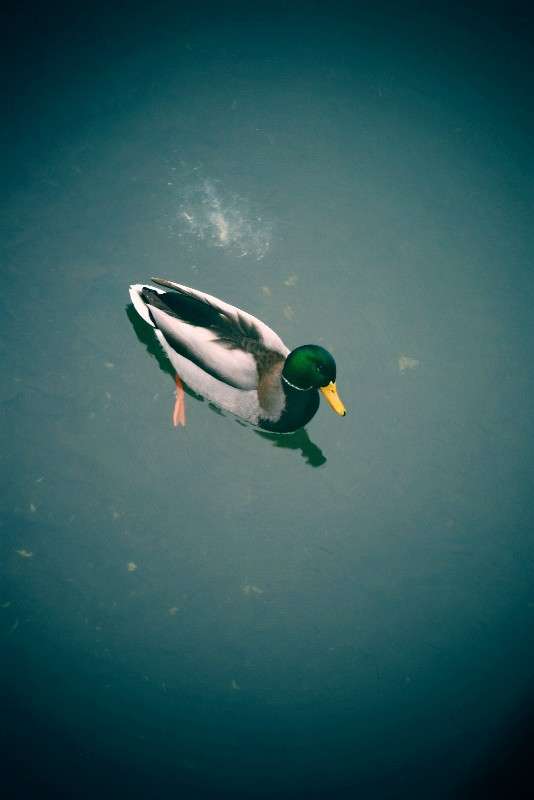 �������� ����� �������� ��� �� PhotoGeek.ru #�������� ��� #����� ��� ��� ���������