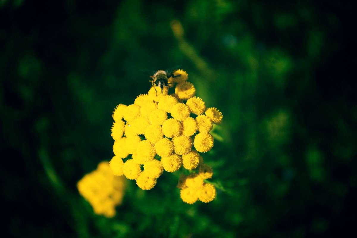 ... ����� �������� ��� �� PhotoGeek.ru #����� #�������� ��� #������ ��� ������� #����� �������������� #����� ��������