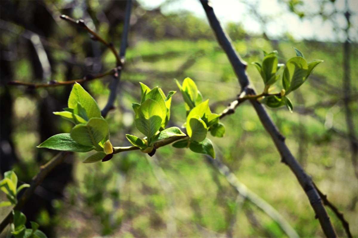 ... ����� �������� ��� �� PhotoGeek.ru #������ ��� ������� #����� ��������������