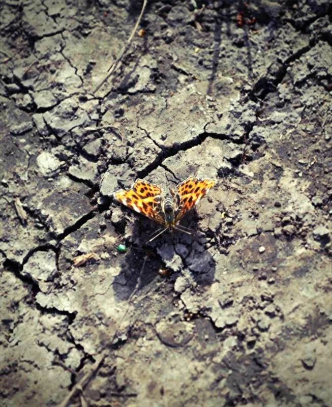 ������� ����� �������� ��� �� PhotoGeek.ru #�������� ��� #������ ��� ������� #����� ��� ��� ���������