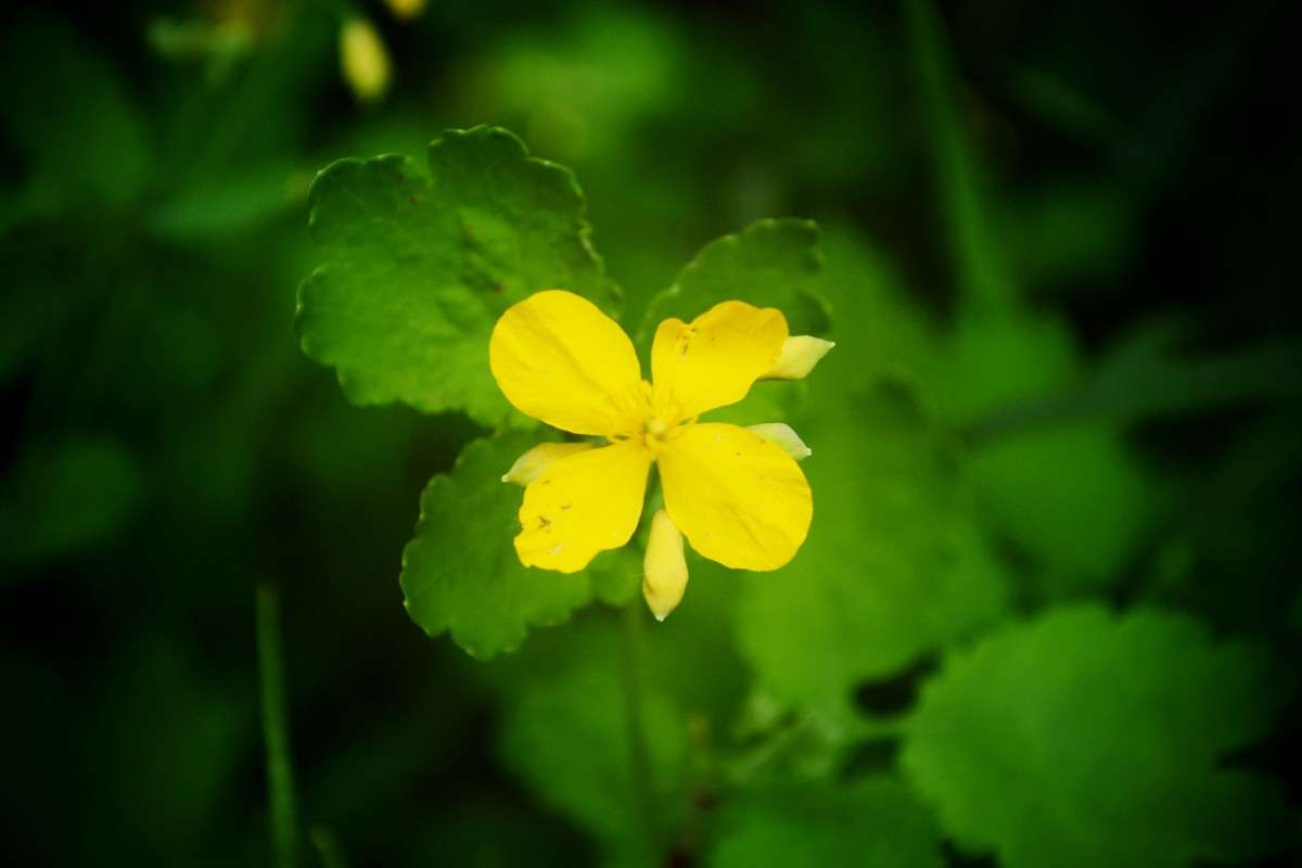 ... ����� �������� ��� �� PhotoGeek.ru #����� #������ ��� ������� #����� ��������������