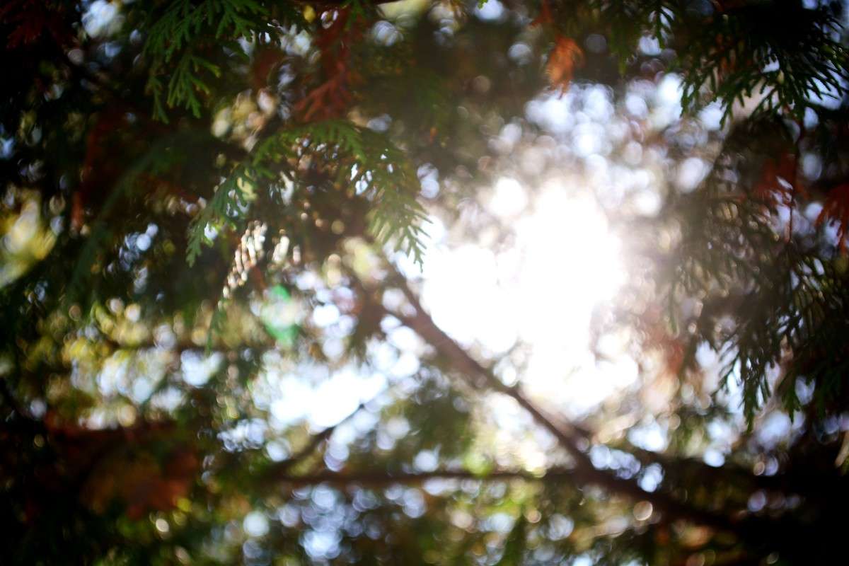 ... ����� �������� ��� �� PhotoGeek.ru #������ ��� ������� #����� ��������������