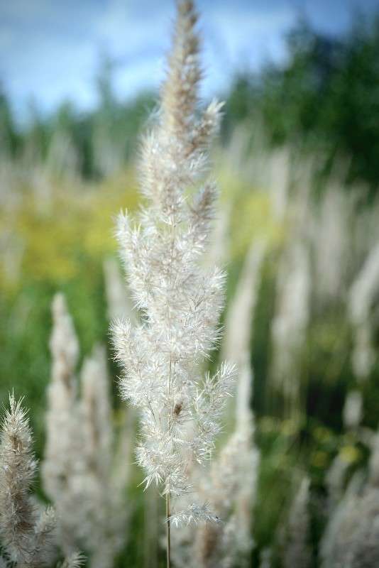 ... ����� �������� ��� �� PhotoGeek.ru #������ ��� ������� #����� ��������������