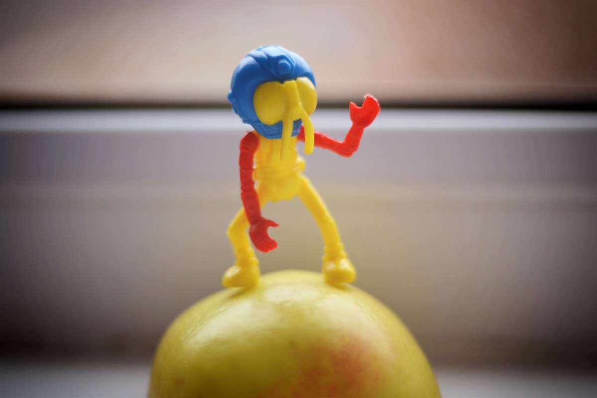 ������� �� ������ ����� �������� ��� �� PhotoGeek.ru #��������� #�������� ����������