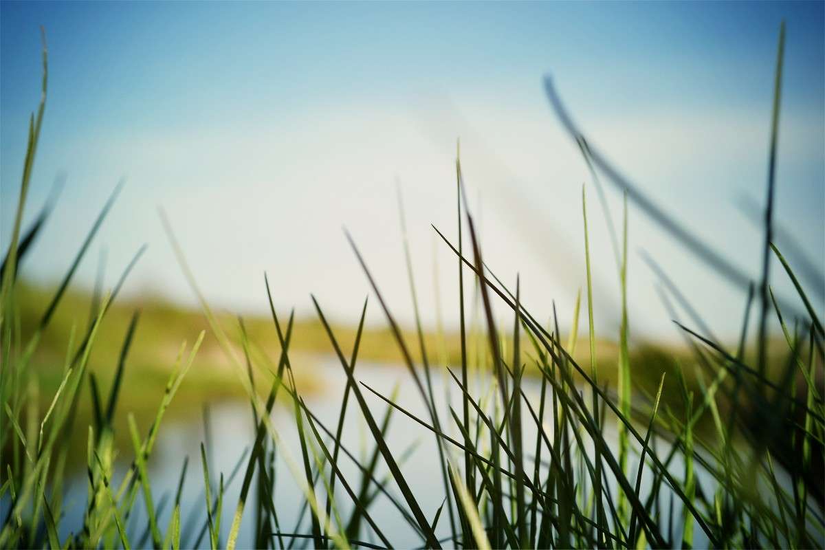 ����� ����� �������� ��� �� PhotoGeek.ru #������ ��� ������� #����� �������������� #����� ��������