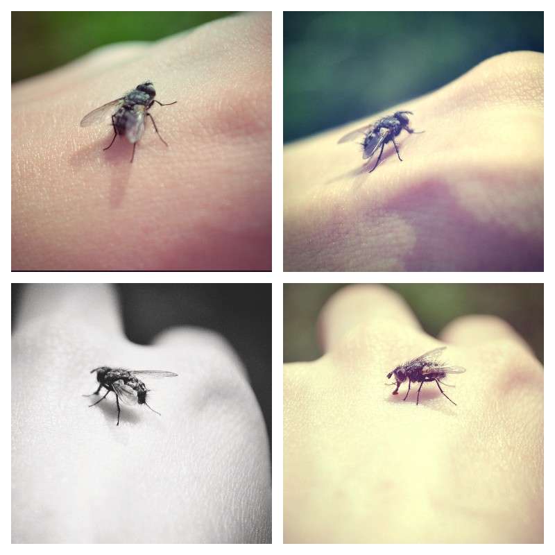 ���� ����� �������� ��� �� PhotoGeek.ru #����� #������ #�������� ��� #����� ��� ��� ���������