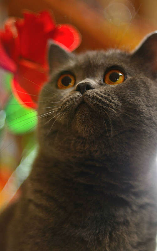 ... ����� �������� ��� �� PhotoGeek.ru #�������� ��� #�������� ���